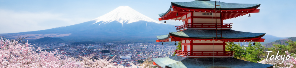 Round-Trip Ticket to Tokyo Japan Redemption Form